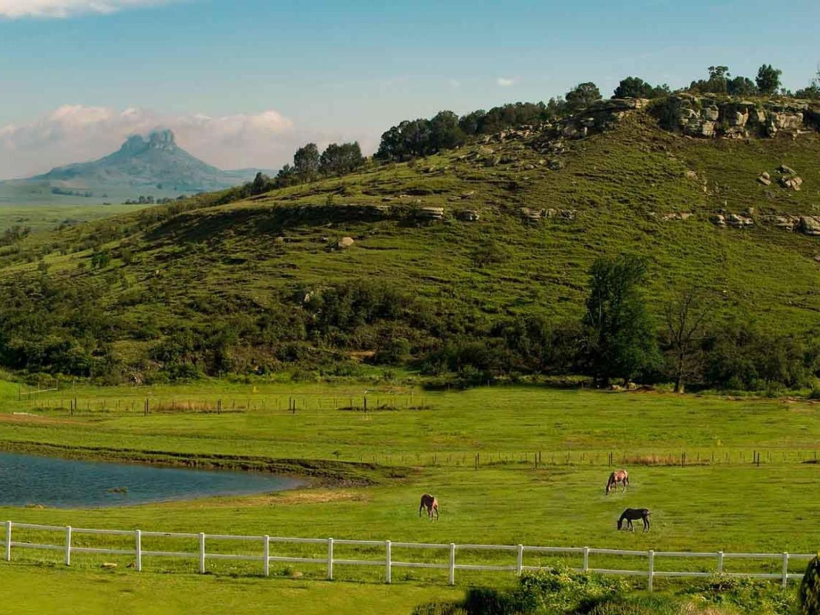 Oaklands Farm Stay Van Reenen Dış mekan fotoğraf