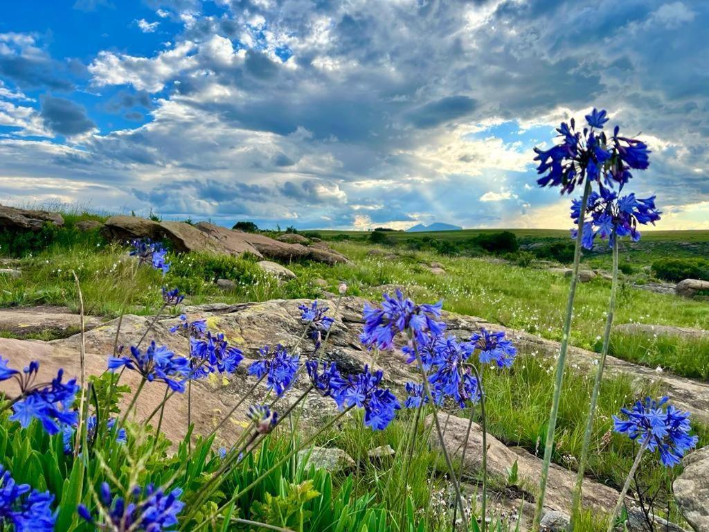 Oaklands Farm Stay Van Reenen Dış mekan fotoğraf