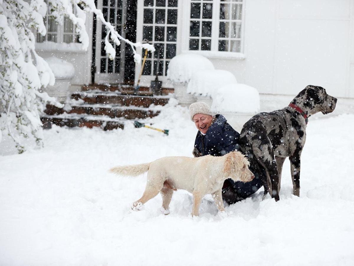 Oaklands Farm Stay Van Reenen Dış mekan fotoğraf